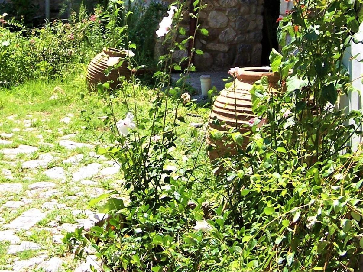 Ανεξαρτητο Studio Στο Ομορφο Καστορειο Kastorion Zewnętrze zdjęcie