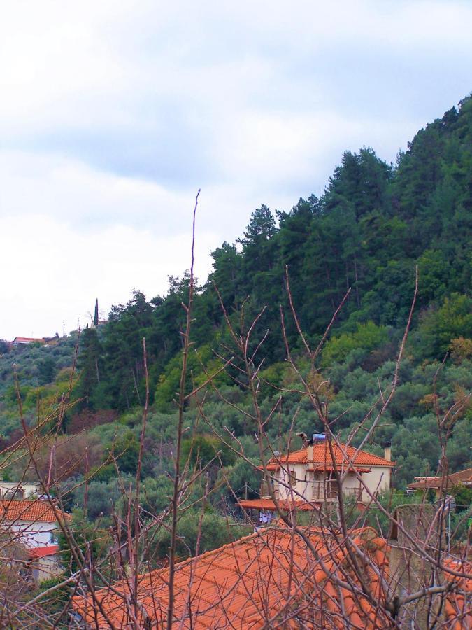 Ανεξαρτητο Studio Στο Ομορφο Καστορειο Kastorion Zewnętrze zdjęcie